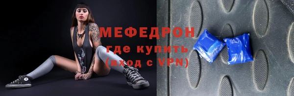индика Алексин