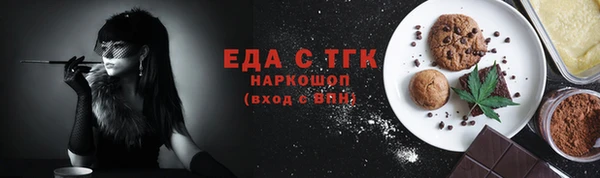 индика Алексин