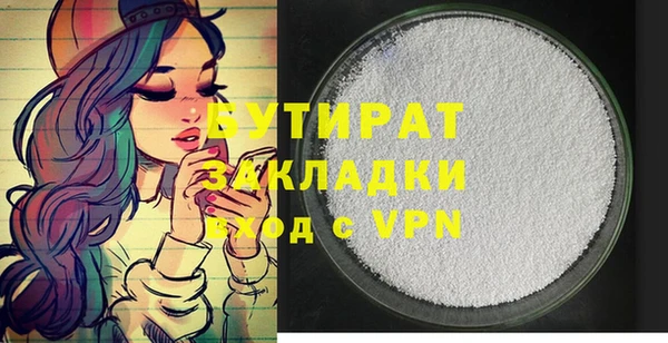 индика Алексин
