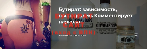 индика Алексин