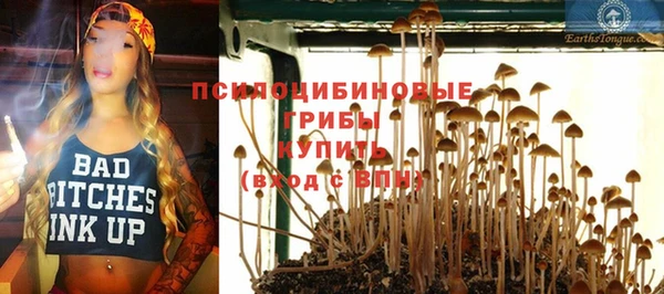 индика Алексин