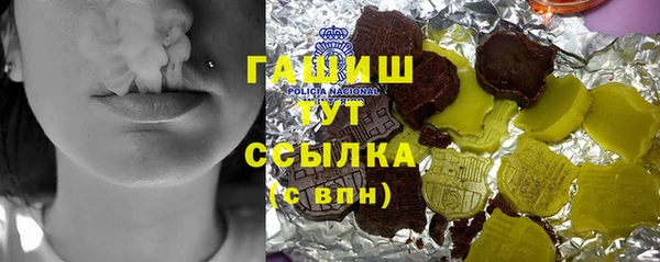 индика Алексин
