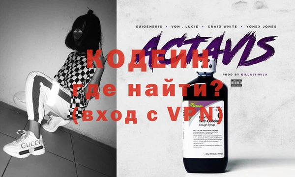 индика Алексин