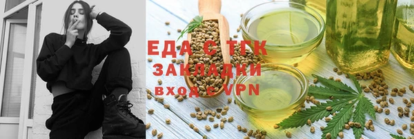 индика Алексин