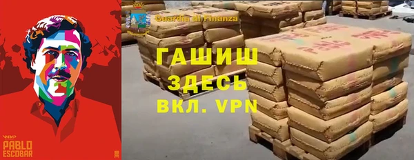 индика Алексин